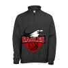 Sophomore ¼ zip sweatshirt Thumbnail